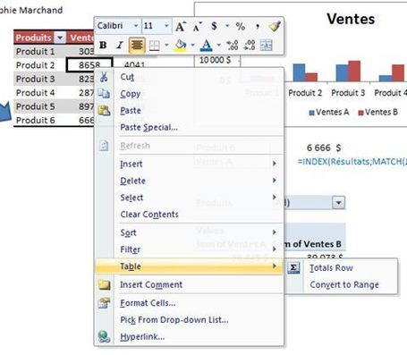 D&eacute;couvrez la magie des tables&nbsp;Excel | MSExcel | Scoop.it