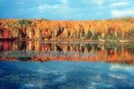 The Miracle of Fall | The Miracle of Fall | Scoop.it