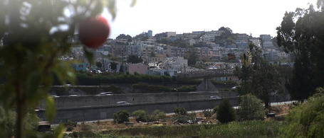Edible City - Documentary | Biodiversity IS Life -- Conservation,Ecosystems,Wildlife,Rivers,Water,Forests | Scoop.it