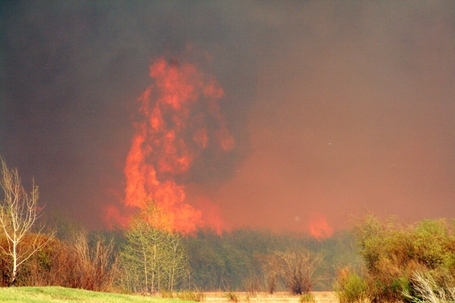 Province ignored warnings months before Slave Lake disaster, ex-public safety boss says | AlbertaNews | Scoop.it