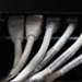 Into the Cloud | LPS Tech Updates | Scoop.it
