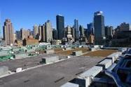 Durham firm lands big deal for 'green roof' at NYC Javits Center :: The Skinny at WRAL Tech Wire | Vertical Farm - Food Factory | Scoop.it