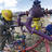 Environmental Law
