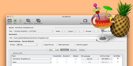 A&ntilde;adir subt&iacute;tulos en un v&iacute;deo f&aacute;cilmente con HandBrake | Noticias informatica by josem2112 | Scoop.it