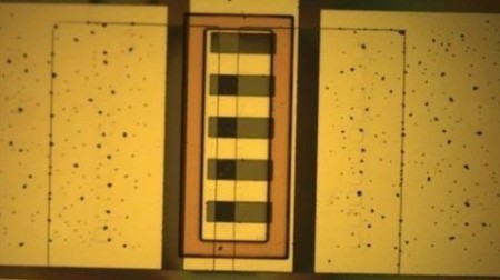 Special coating could allow electronic implants to detect organ rejection | Longevity science | Scoop.it