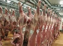 Le Plan abattoirs est valid&eacute; pour l'industrie agroalimentaire. | agro-media.fr | agro-media.fr | actualit&eacute; agroalimentaire | Scoop.it