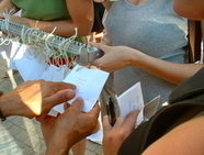 News von Passage & Co.: Exilplan-Workshop und LiteraturTour in Marseille | Passage & Marseille | franco-allemand | Scoop.it