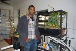 Astorian grew his organic farm in LIC - Queens Chronicle | Vertical Farm - Food Factory | Scoop.it