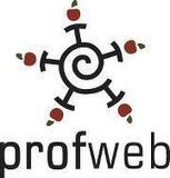 Profweb : Cr&eacute;er un manuel num&eacute;rique &agrave; l&rsquo;aide de Wikip&eacute;dia | TICE & FLE | Scoop.it
