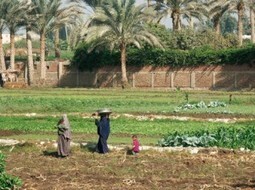 La g&eacute;opolitique de l&rsquo;eau au Moyen-Orient : guerre improbable, paix impossible ? | Nuevas Geograf&iacute;as | Scoop.it