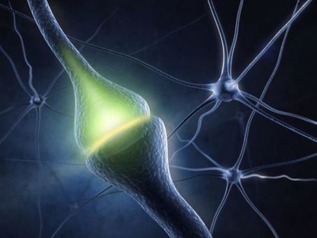 Vamos a jugar, tan s&oacute;lo necesitas un cerebro y #SocialMedia | Personas 2.0: #SocialMedia #Strategist | Scoop.it