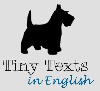 Ask Task: What are Tiny Texts? | Learning English Matters | Scoop.it