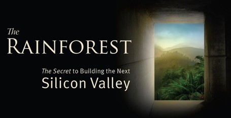 San Diego&rsquo;s civic leadership and the Rules of the Rainforest | The Jazz of Innovation | Scoop.it
