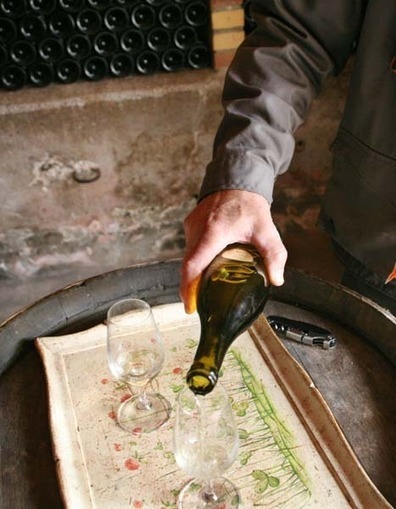 Guy Bussi&egrave;re, Val de Saone (Burgundy) | All about French Wine | Scoop.it