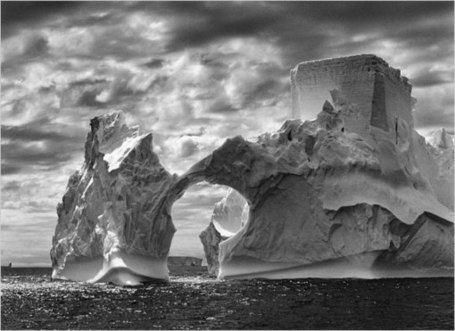 Nature, Nurtured - The New York Times > Arts > Slide Show > Slide 4 of 10 | All about nature | Scoop.it