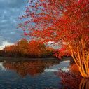 Nature Photos | Interesting Photography | Scoop.it