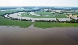 Why does industrial agriculture keep getting a climate&nbsp;pass? | Latest in GLOBAL CLIMATE CHANGE News | Scoop.it