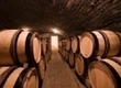 Semi Marathon de Nuits-Saint-Georges, Bourgogne 2012 | Agenda du vin | Scoop.it