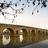EU FUNDING OPPORTUNITIES  AND PROJECT MANAGEMENT TIPS