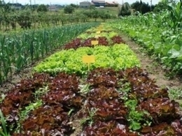 'La agricultura ecol&oacute;gica es una necesidad, no una moda' | Agroecolog&iacute;a y desarrollo rural | CundinaMARCA Potencia Agroindustrial | Scoop.it