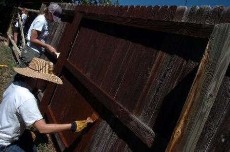 Habitat helps others with A Brush with Kindness - ReporterHerald.com | Kindness | Scoop.it