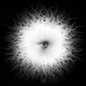 Consciousness