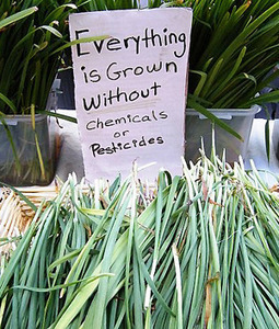 Does Organic Food Turn People into Jerks? | Chair et M&eacute;tal - L'Humanit&eacute; augment&eacute;e | Scoop.it