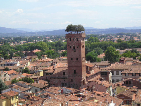 Architecture by me: The most ancient "green" roof!-Lucca,Tuscany ... | Vertical Farm - Food Factory | Scoop.it
