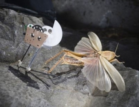Miniature robot leaps 27 times its body size - Image 1 of 6 | Robolution Capital | Scoop.it