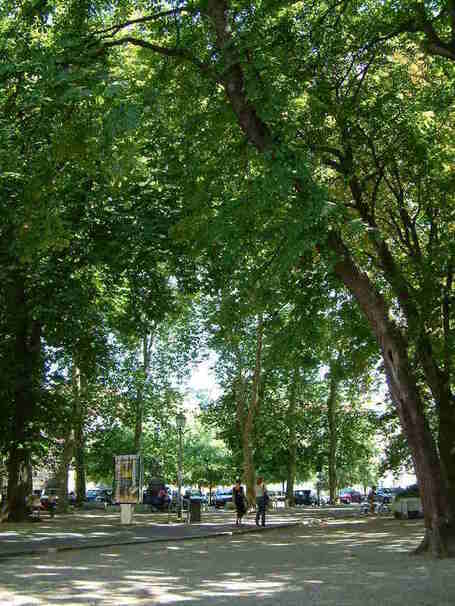 &Eacute;cologie urbaine : l&rsquo;avenir des villes est au vert ! | Le blog de communes.com | Actus des communes de France | Scoop.it