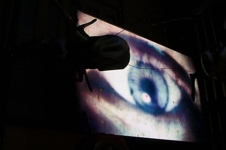 V&eacute;rit&eacute;s &agrave; biom&eacute;trie variable | CRAKKS | Scoop.it
