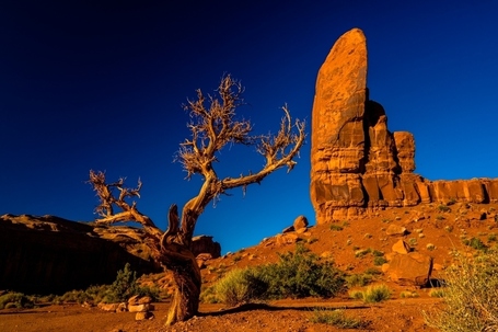 Stunning photography with the Fuji X-Pro1 | Olaf Sztaba | Fuji X-Pro1 | Scoop.it
