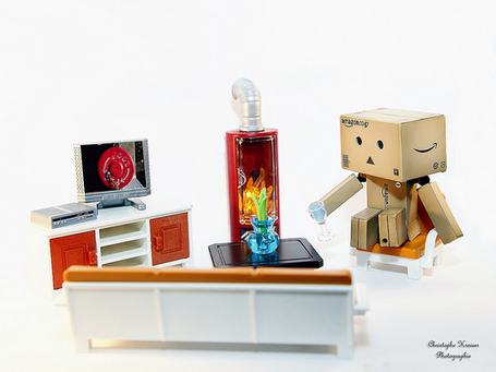 Danbo  on Danbo At Home   Best Of Danbo   Scoop It