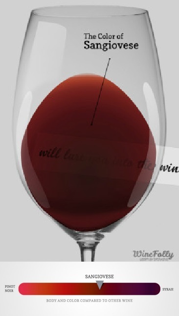 The Ultimate Guide to Sangiovese | Wines and People | Scoop.it