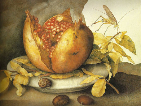 Giovanna Garzoni  (b. 1600 Ascoli Piceno - d. 1670)  still life from Le Marche | Le Marche another Italy | Scoop.it
