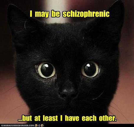 I  may  be schizophrenic | meme, lol & existensialism | Scoop.it