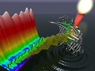 Francis en Trending Ciencia: La f&iacute;sica cu&aacute;ntica de la fotos&iacute;ntesis | Ciencia-F&iacute;sica | Scoop.it