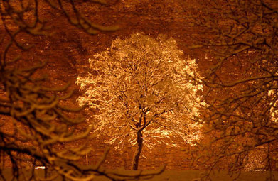 Sustainability @ Thomson Reuters &ndash; It&rsquo;s good business | Sustain Our Earth | Scoop.it
