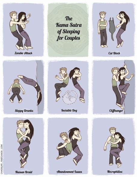 The Kama Sutra of Sleeping | A Sense of the Ridiculous | Scoop.it