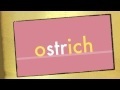 Teaching Videos | Teaching with ICT in the primary classroom | Scoop.it