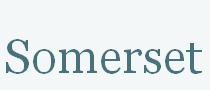 Self-service the way forward for North Somerset libraries | UK Public libraries in the news | Scoop.it