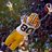 Sports Photography