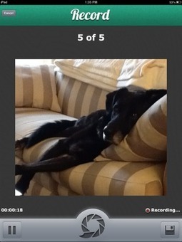 Free Technology for Teachers: Create Simple Narrated Photostories with Pixntell | Edtech PK-12 | Scoop.it