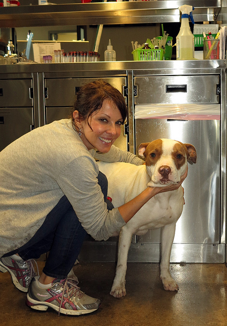 Lisa & Lolly after a bath :-) | Flickr - Photo Sharing! | Amazing Rare Photographs | Scoop.it