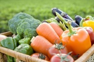 What the study forgot to mention: Organic food can save the world from devastating climate change | efficient gardening | Scoop.it