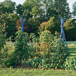 5 Great Ideas for a Beautiful Vegetable Garden: Organic Gardening | 100 Acre Wood | Scoop.it