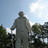 Social Studies Chronicle