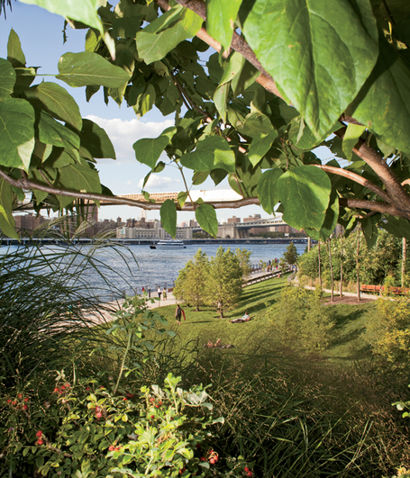 They Unpaved Paradise and Took Out a Parking Lot | The Integral Landscape Caf&eacute; | Scoop.it