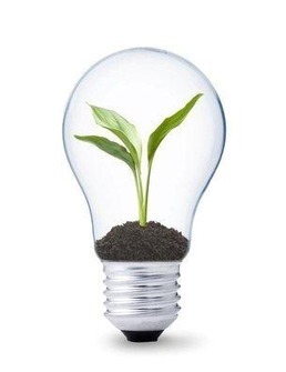 Cned Innovation | Solutions e-Learning pour les entreprises des p&ocirc;les de comp&eacute;titivit&eacute; | Scoop.it