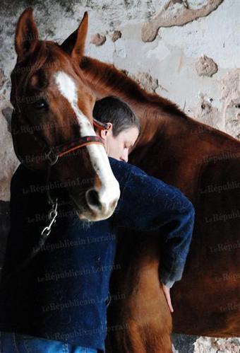 Sous le cuir la sensibilit&eacute; des chevaux - Le R&eacute;publicain Lorrain | Site de l'ost&eacute;opathie | Scoop.it